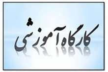 برگزاری کارگاه بررسی دیتای کتابخانه ها در نرم افزارکتابخانه ای